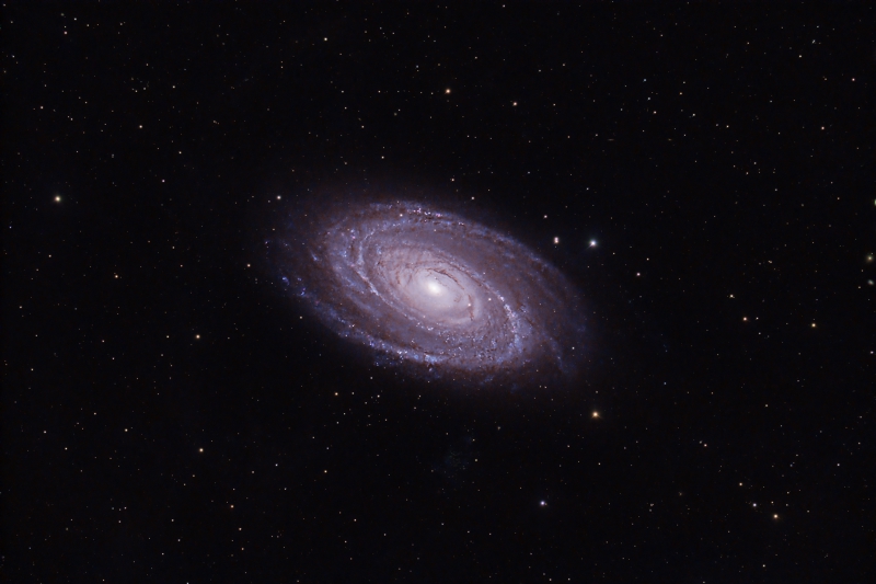 M81