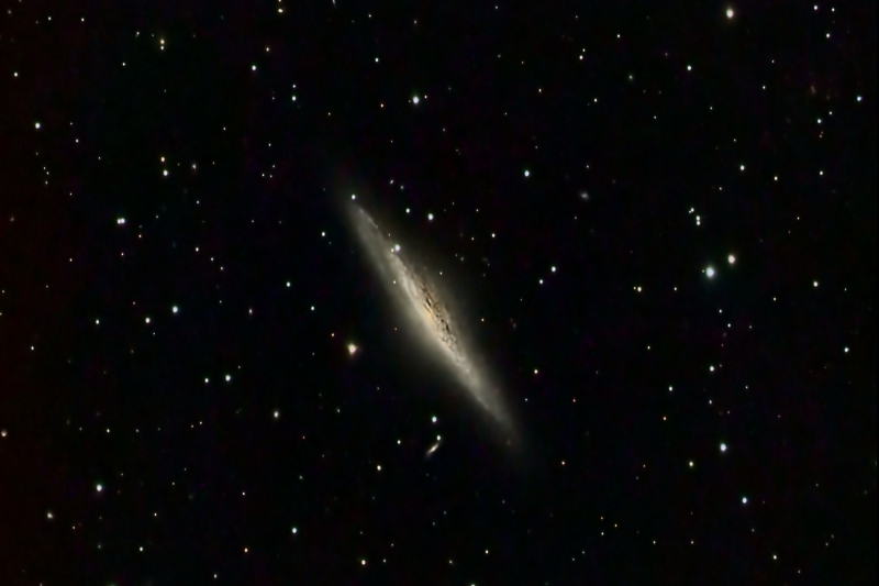 Spiral Galaxy NGC2683