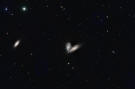 The Siamese Twins Galaxies