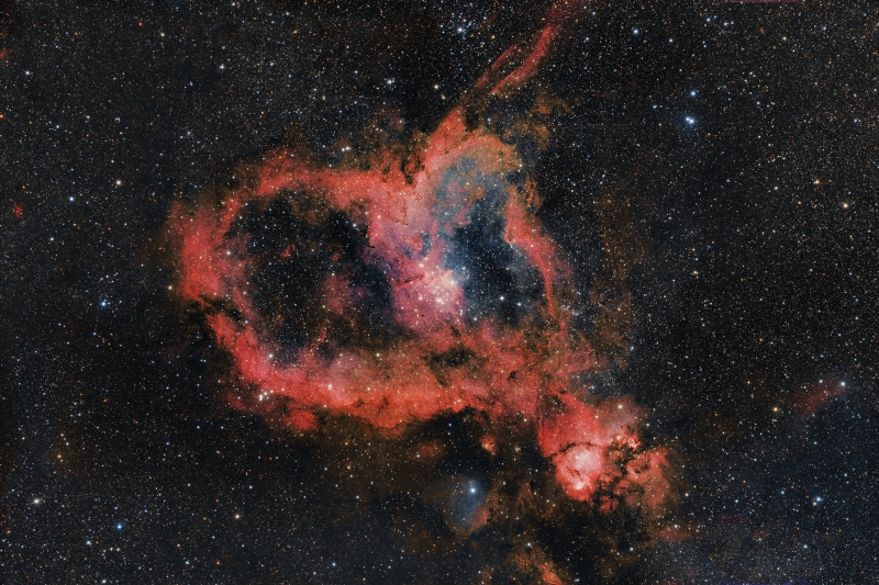 The Heart Nebula