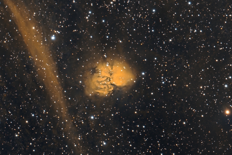 Octopus Nebula - SH2-294