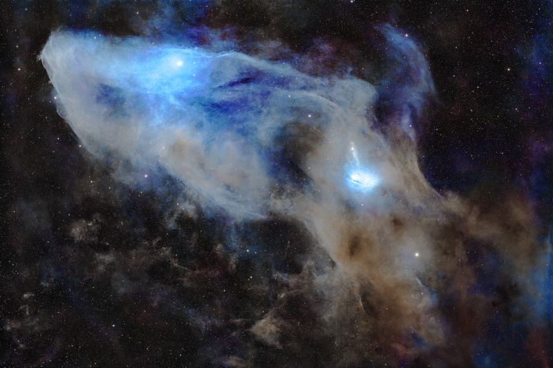 The Blue Horsehead Nebula