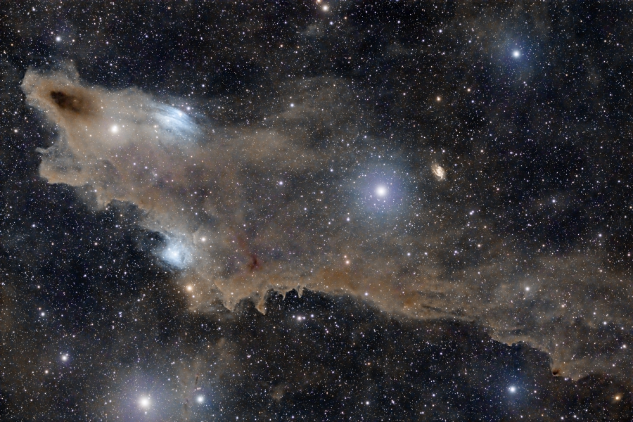 The Shark Nebula