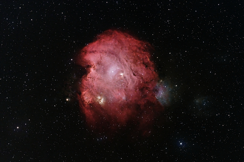 The Monkey Head Nebula