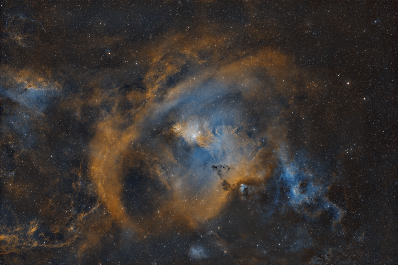 The Christmas Tree Cluster (NGC2264) and Neighborhood