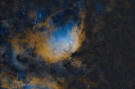 The Tulip Nebula