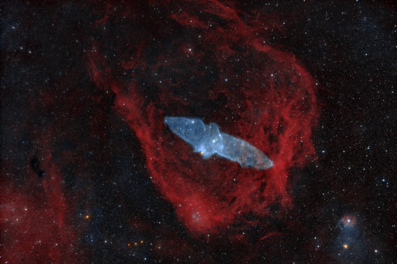 The Flying Bat Nebula and The Squid Nebula in Narrowband